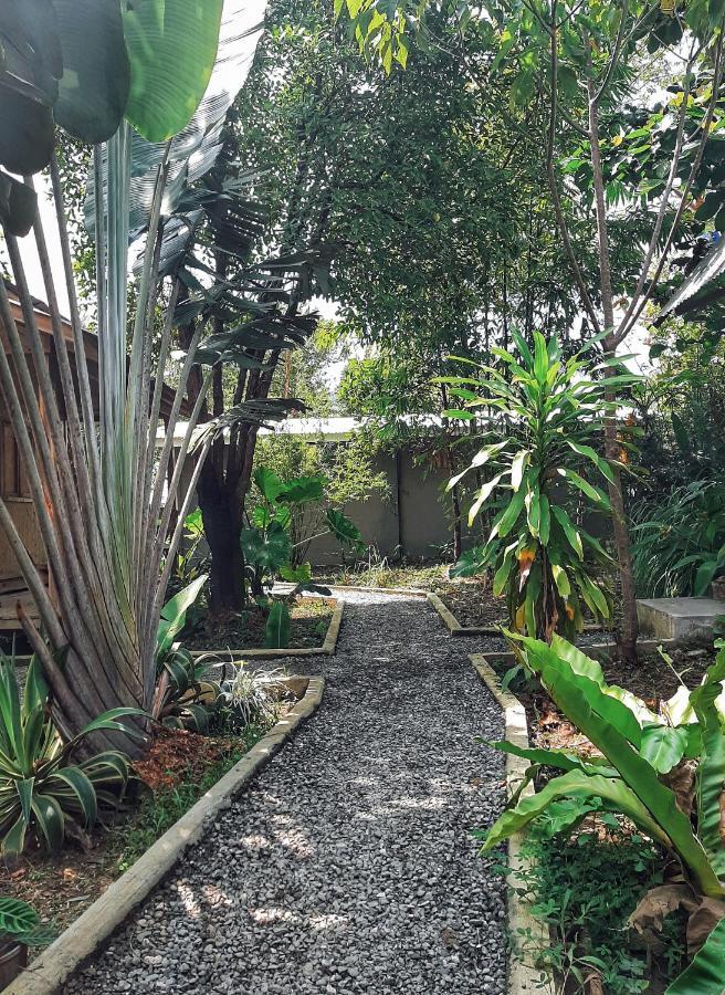 Cabanas De Nacpan Camping Resort El Nido Bagian luar foto