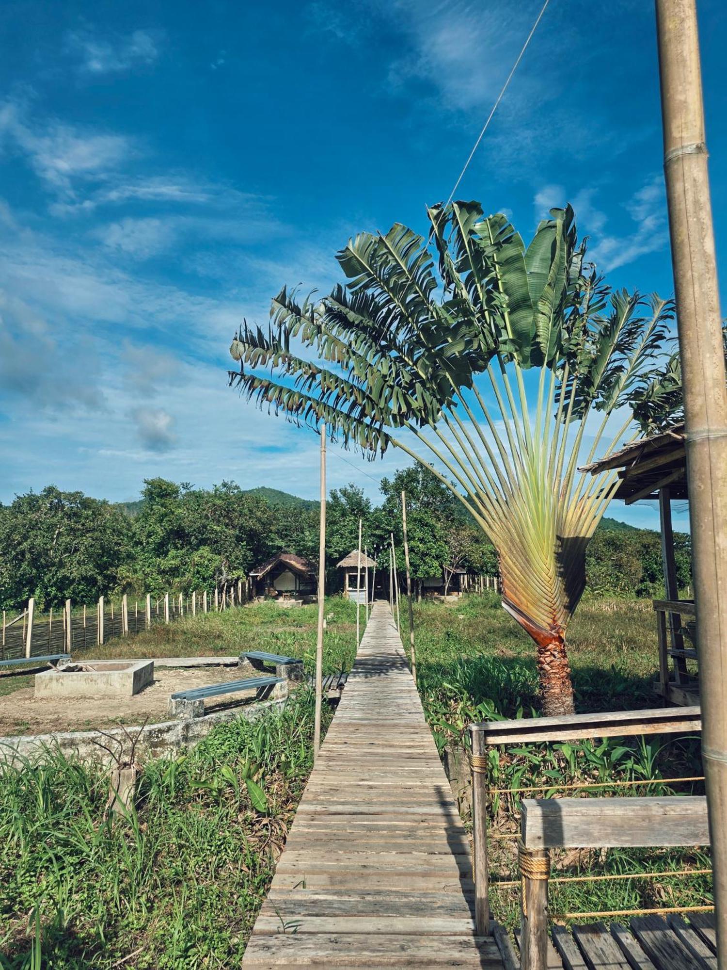 Cabanas De Nacpan Camping Resort El Nido Bagian luar foto